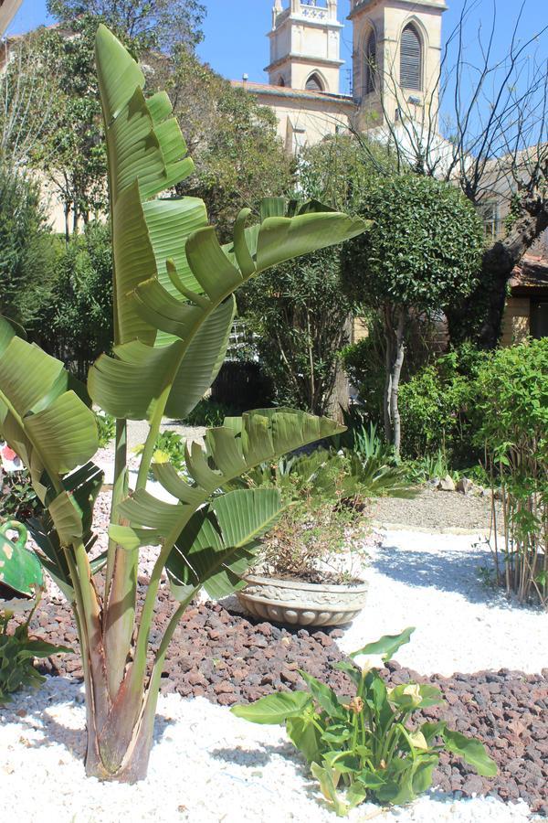 Hotel Restaurant Martinez بالاروك ليه بان المظهر الخارجي الصورة